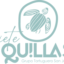 Logo 7 Quillas — Voluntariado Horas Verdes